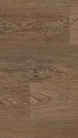 510017006 NEVADA OAK