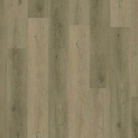 36005009 CASCADE OAK AGED