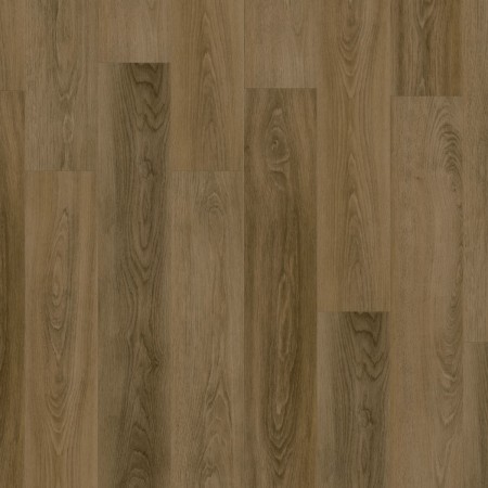 36004006 LIGURIA OAK NUTMEG