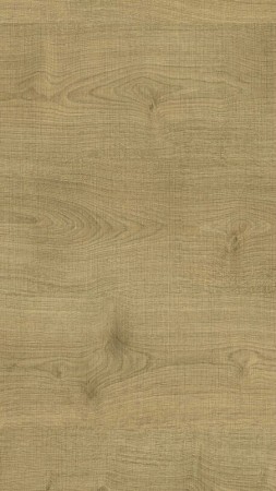 510011011 CANVAS OAK