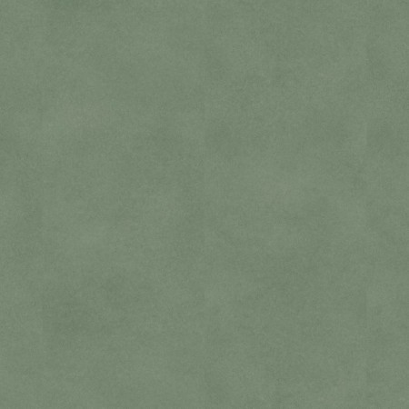 INPS.55 - 24522086 FIBRA GREEN