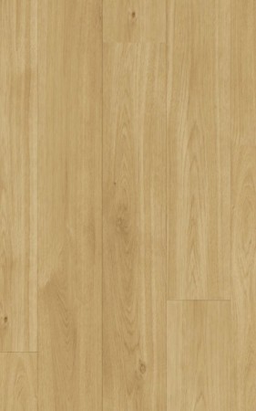 5337004 CHENE NATURAL