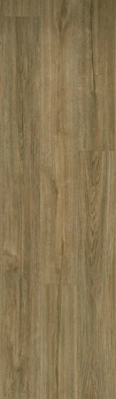 1602 - TOBACCO OAK