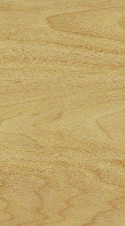 Gerflor Sport - 6381 Maple