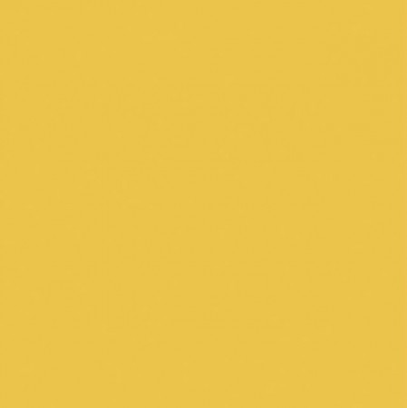 Omnisports - Uni Yellow