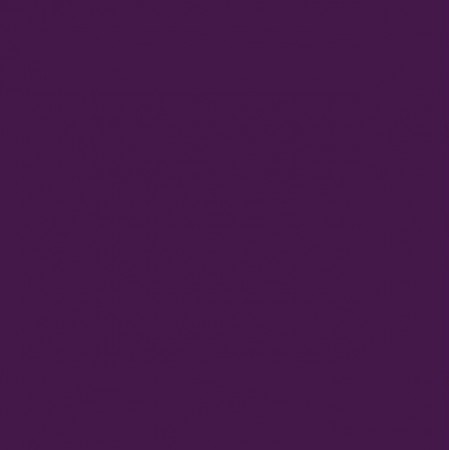 Omnisports - Uni Puple