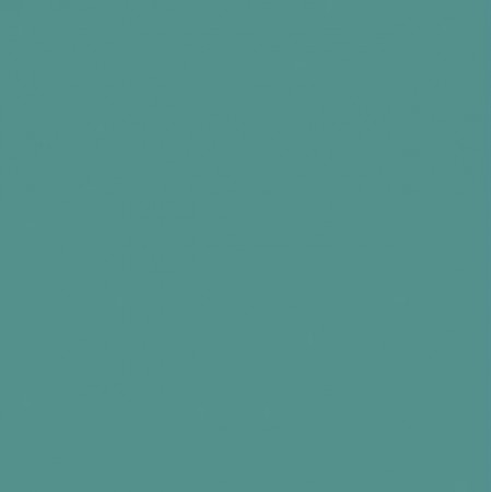 Omnisports - Uni Teal