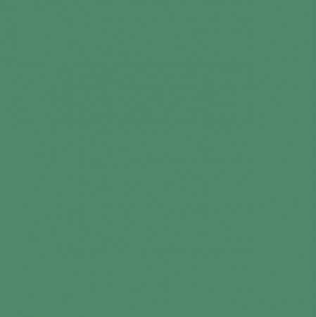 Omnisports - Uni Mint Green