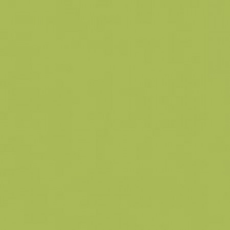 Exclusive 200 - 27038011 (2M) Lime