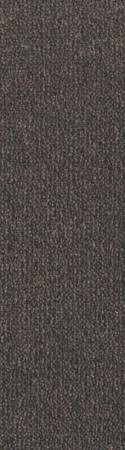 Hilton 146 Μπεζ-Καφε