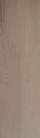 Premium Rigin  50 - 555