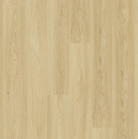Essence 55 - 260053001 Cool Oak Classical
