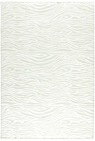 Florida 80-65 White-Cream