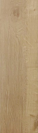 Premium Rigin 50 - 357